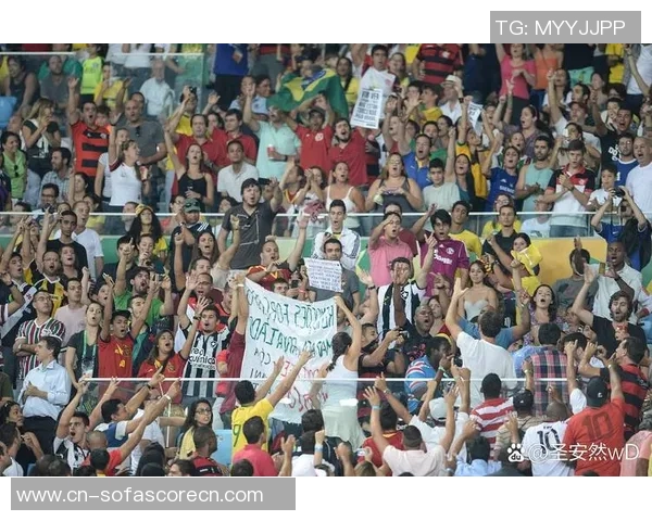 法国与荷兰激战预选赛谁能在欧洲赛场上笑到最后